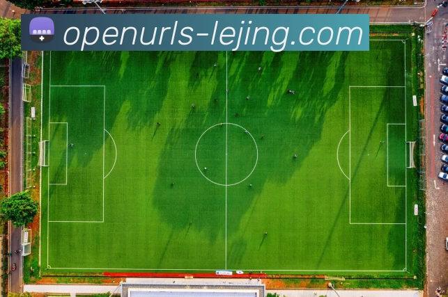 多媒体互动体验