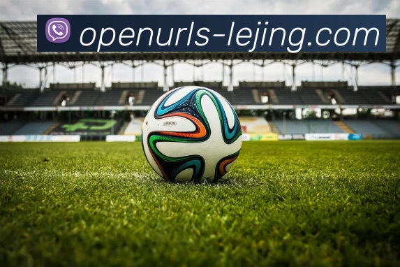 奖项3